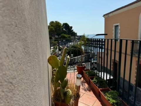 Swim Apartment Fronte Mare CTA Eksteriør billede